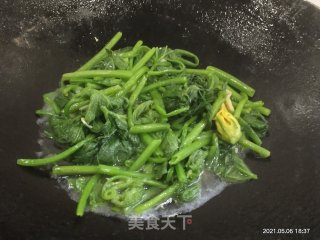 清炒南瓜苗的做法步骤：5