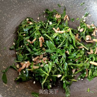 炒肉拌霞草的做法步骤：11