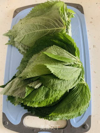 苏子叶的做法步骤：1