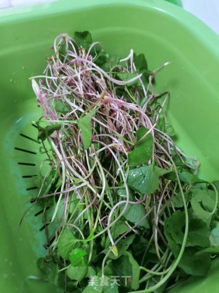 香菇肉末煮雷公根的做法步骤：3