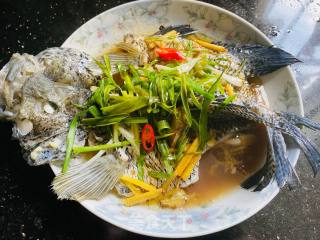 葱油石斑鱼的做法步骤：5