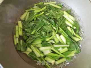 蒜蓉菜芯的做法步骤：3