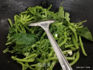 清炒南瓜苗的做法步骤：3