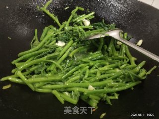 清炒南瓜苗的做法步骤：4
