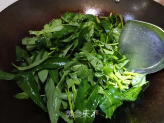 蒜香空心菜的做法步骤：4