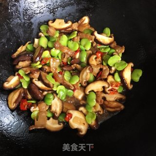 香菇炒蚕豆的做法步骤：5