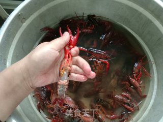 啤酒小龙虾的做法步骤：4