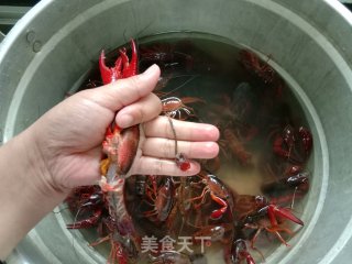啤酒小龙虾的做法步骤：5