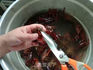 啤酒小龙虾的做法步骤：6