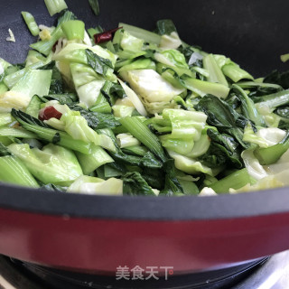 茶油炒青菜的做法步骤：8