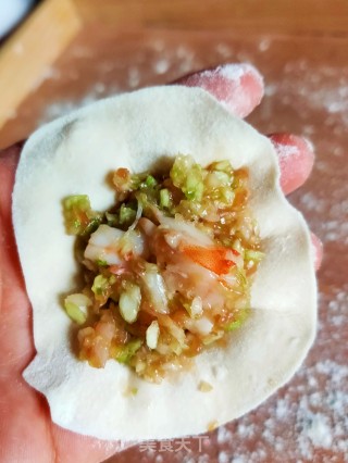 猪肉虾仁圆白菜饺子的做法步骤：15