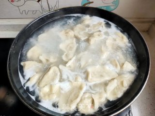 猪肉虾仁圆白菜饺子的做法步骤：17
