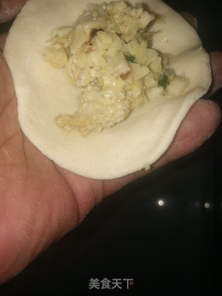 春笋尖猪肉饺子的做法步骤：9