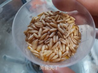 五谷杂粮豆浆的做法步骤：4