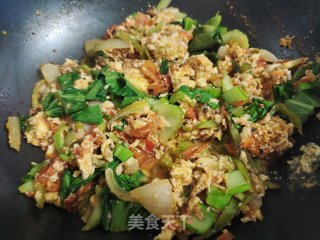 西红柿炒鸡蛋（配点绿色菜）的做法步骤：5
