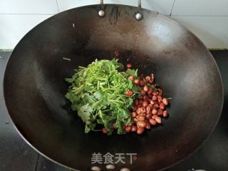 姜丝香菜炒肉丝的做法步骤：7