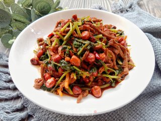 姜丝香菜炒肉丝的做法步骤：9