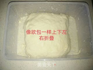波兰种法棍的做法步骤：4