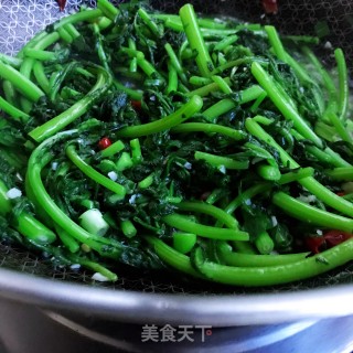 蒜头油炒茼蒿的做法步骤：8
