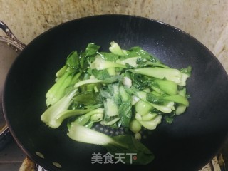 蒜香小油菜的做法步骤：5