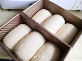 淡奶油吐司的做法步骤：6