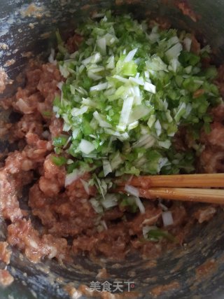 猪肉鲜黄花蒸饺的做法步骤：2