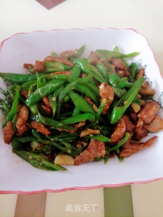辣椒炒肉的做法步骤：9