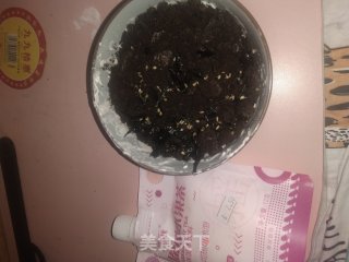 生日奥利奥盆栽的做法步骤：8