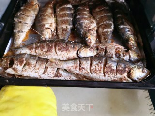 烤鲫鱼的做法步骤：8