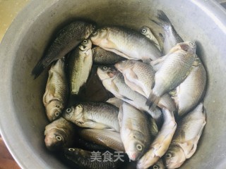 野生鲫鱼汤的做法步骤：2