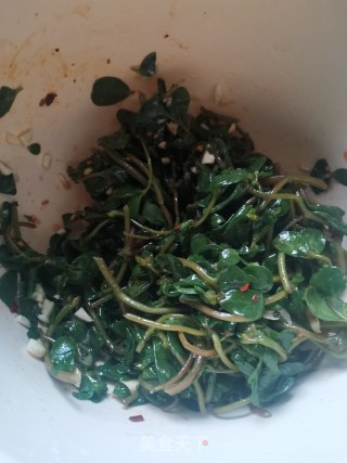 凉拌马齿苋的做法步骤：4
