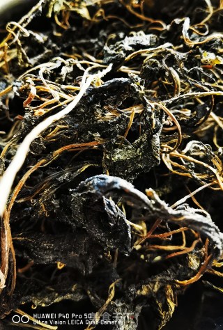 萝卜缨做的梅干菜的做法步骤：11