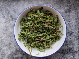 清炒马齿苋的做法步骤：1