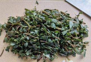 清炒马齿苋的做法步骤：2