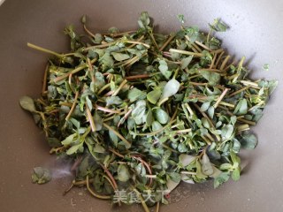 清炒马齿苋的做法步骤：4