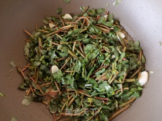 清炒马齿苋的做法步骤：6