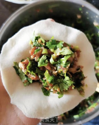 羊肉芫荽饺的做法步骤：8