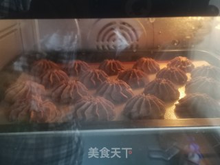 可可曲奇的做法步骤：10