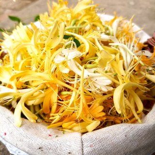 晒双花茶的做法步骤：2