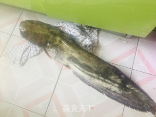野生鲶鱼炖茄子的做法步骤：1