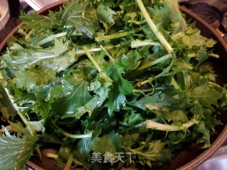 蒜蓉炒京水菜的做法步骤：4