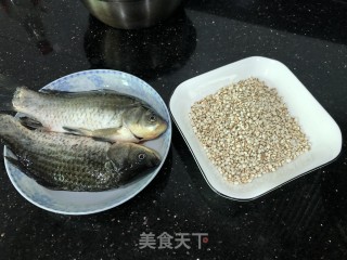 鲫鱼薏米汤的做法步骤：3