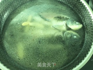 鲫鱼薏米汤的做法步骤：4