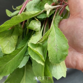 烤肠萝卜苗手抓饼的做法步骤：1