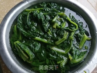 蒜香苦麻菜的做法步骤：1