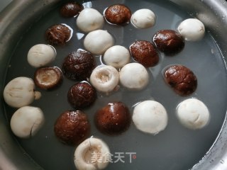 炒双菇的做法步骤：1