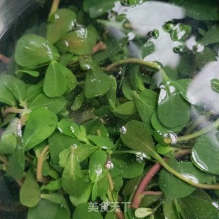 虾皮馄饨的做法步骤：3