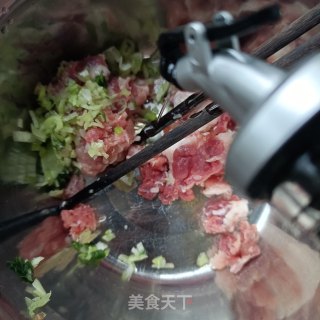 虾皮馄饨的做法步骤：5