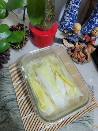 白灼娃娃菜的做法步骤：8