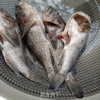 泡椒小石斑豆腐汤的做法步骤：1